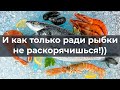 Как только ради рыбки не раскорячишься))