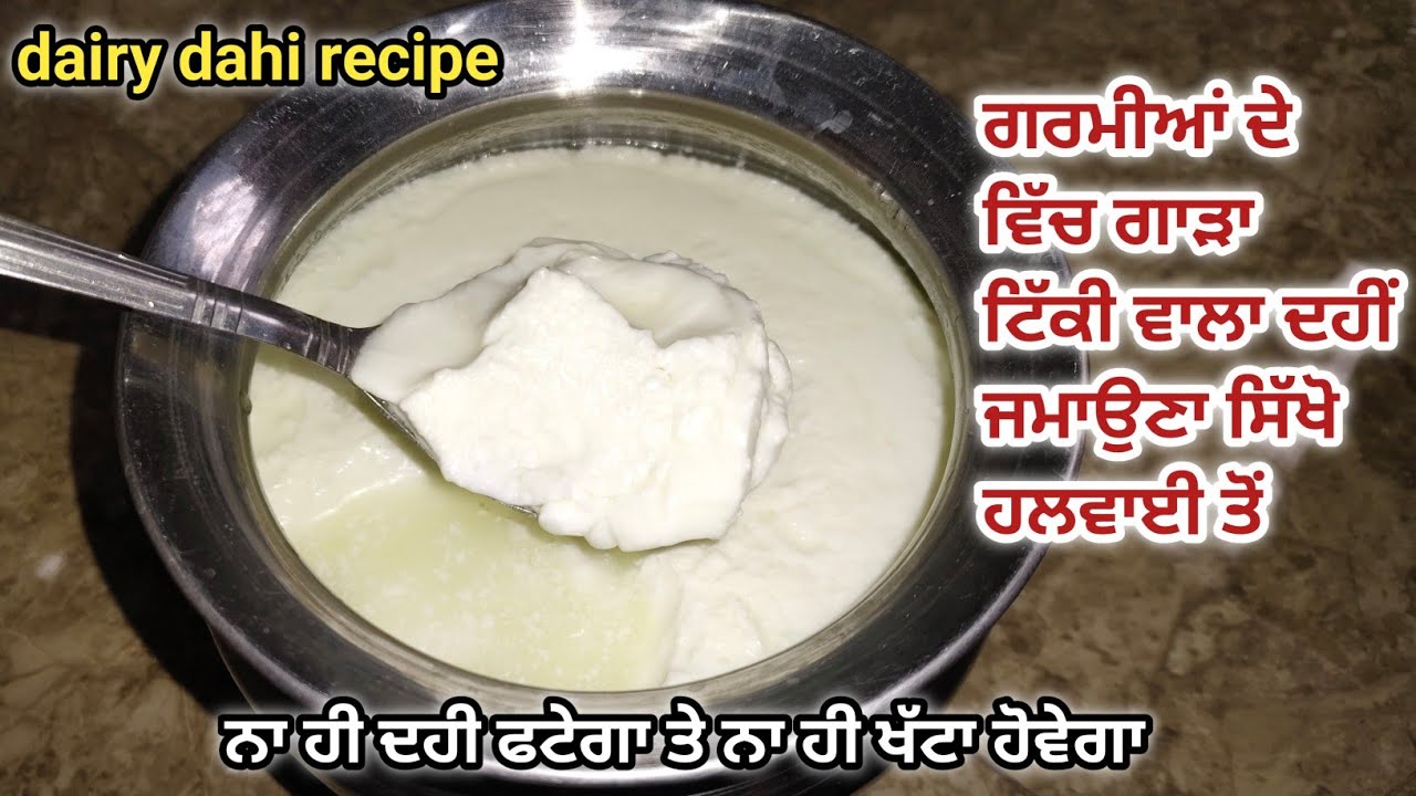 ⁣ਨਾ ਦਹੀ ਖੱਟਾ ਤੇ ਨਾ ਹੀ ਫਟੇ ਗਾ ਇਹ ਹਲਵਾਈ ਦੇ ਤਰੀਕੇ ਨਾਲ||Thick Curd dairy recipe||dahi jamane Ka Tarika||
