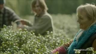 PayPal Domain Registration With Web Hosting Domainsrush PayPal Domain Registration With Web Hosting Domainsrush