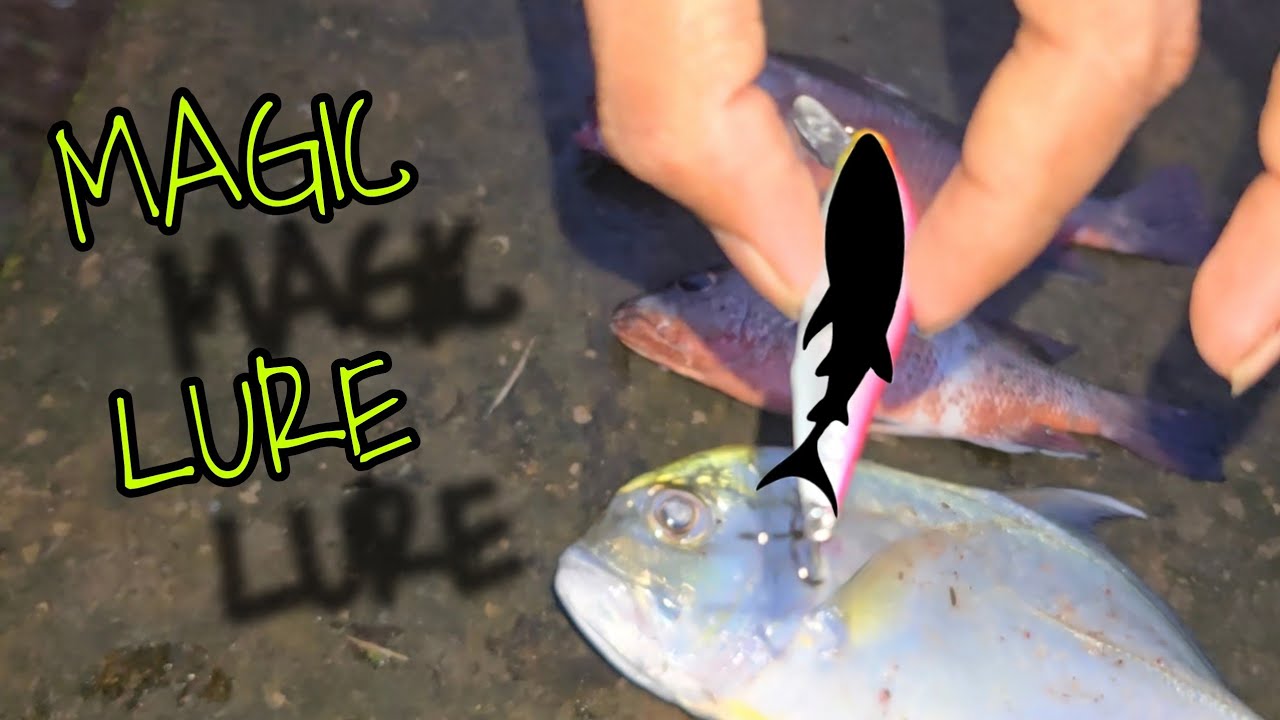 छोट्याश्या Lure वर पकडले खूप सारे मासे | Caught many Fishes using MAGIC LURE