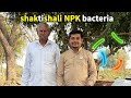 Organic Bacteria NPK kansotiya | #krushividhya