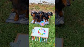 Perritos y una Mariposa 🦋🌈🫟🎨 #perrosalchicha