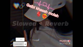 Cheba Warda 2023 Ft Manini Solazur Galbi Khasah Molah L3Achk Kamalt M3Ah Slowed Reverb