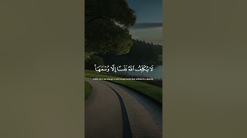 #تلاوة_خاشعة #قران_كريم #راحة_نفسية #عبدالباسط_عبدالصمد #ماهر_المعيقلي