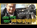 चाळीसगाव बाजार काठेवाडी शेळी |  goatfarming Kathewadi Challis gaav bazzar