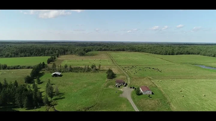 Hicks Settlement Road by Barbara MacKinnon Video B