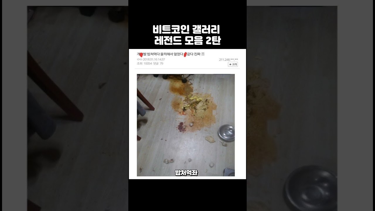 비트코인 갤러리 레전드 모음 2탄(욕조, 모니터뿌숨, 손실3억, 밥처먹좌) - YouTube