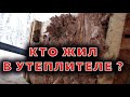 Утеплитель, кто в нем жил и откуда взялся