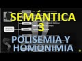 POLISEMIA HOMONIMIA Y RELACIONES DE INCLUSIÓN SEMÁNTICA 3 LENGUAJE
