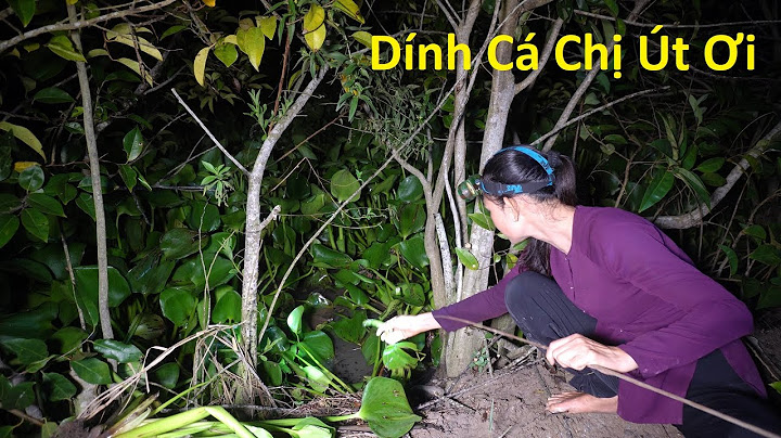 531 / Cắm Câu Cá Trê Về Nấu Canh Chua Cơm mẻ