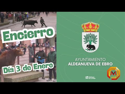 Directo - Fiestas Invierno Aldeanueva de Ebro - Encierro - Día 3 enero