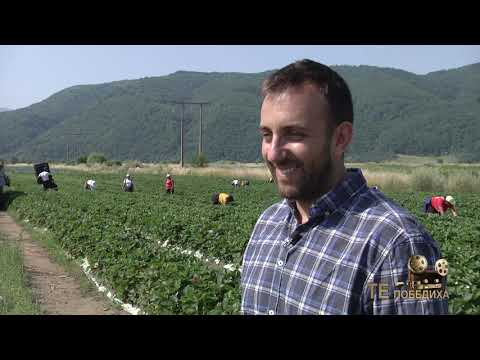 Видео: Как да създадете ферма