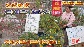 Download Lagu Choáng Cảnh Xả Lỗ Đào Quất Lớn Chưa Từng Thấy trên phố Hà Nôi Tết 2026 MP3