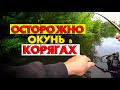 ОСТОРОЖНО! РЫБАЛКА на ОКУНЯ в ГУСТОМ КОРЯЖНИКЕ с ЛОДКИ на РЕКЕ ЛЕТОМ ! ОКУНЬ КЛЮЕТ в КОРЧАХ !