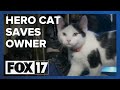 Cat saves man's life after fall