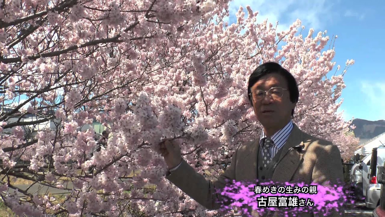 農ある暮らし 桜 春めき