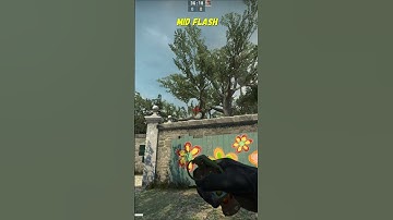 Mid Flash From PlayGround On Overpass CSGO #shorts