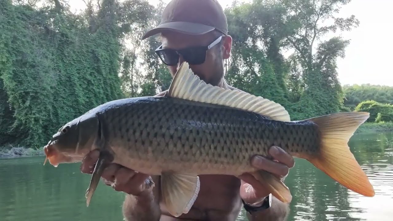 Kayaking the River Ebro for Wild Carp, Chub & Catfish | Centrepin River Trotting Adventure!