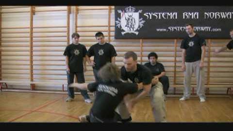 COMBAT SYSTEMA--Clinch DVD