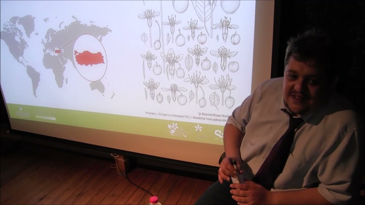 Anadolu'nun Bitki Mirası: Toprağın Hafızasını Çizmek - Burçin Çıngay