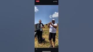 Lucian Bologa & Mircea Dobre colaj Banat