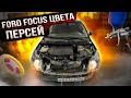 Покраска Ford focus в цвет ПЕРСЕЙ😍. Погдготовка, обклей-ка, мойка, преображение Федора @kmsavto