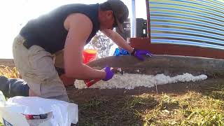 Celebrity Walkway fix using Great Stuff Wealth
