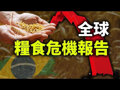 世界粮食计划署 21年全球粮食危机报告 巴西拉响全球滞胀第一声警报 亚利桑那审计最新更新 政论天下第418集 天亮时分 Youtube