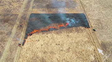 Wildlife Habitat Hints: Prescribed Fire Techniques – Strip Head Fire