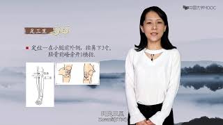 3.3 足阳明胃经