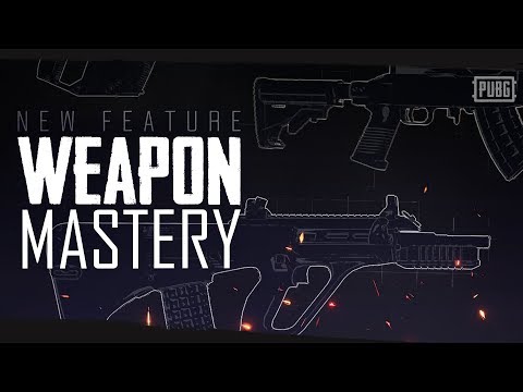 PUBG - New Feature - Weapon Mastery