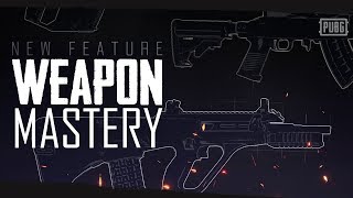 PUBG - New Feature - Weapon Mastery