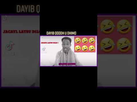 QOSOL ABWAAN DAYIB QOODH OO CAYLKAN LAYSU DILAYO KA GABYAY