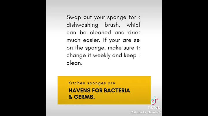 Kitchen Sponge Fact