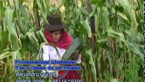 Tankar Kichka - Yolanda De La Cruz