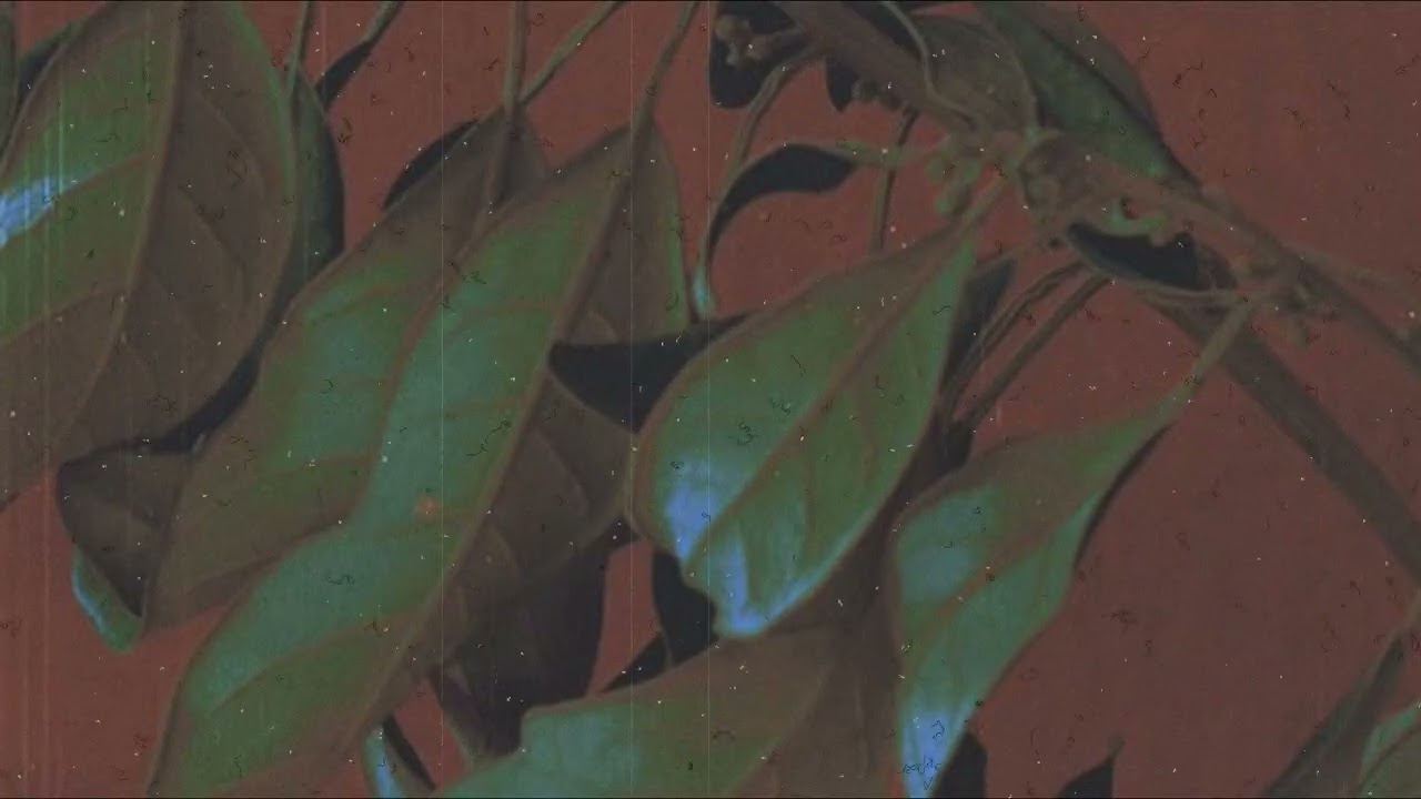 YouTubeでNu Vintage - Locally Grownを視聴 YouTubeでNu Vintage - Locally Grownを視聴