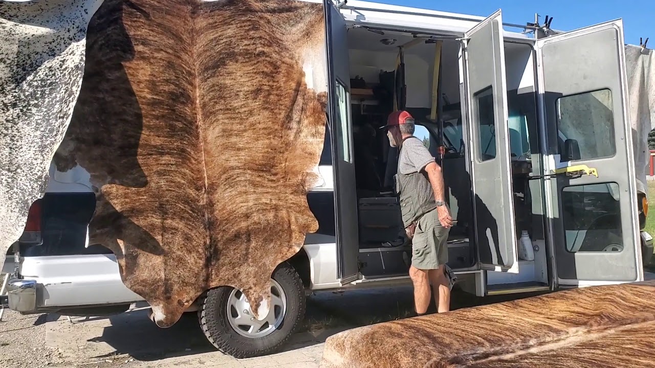 cowhides from brazil YouTube