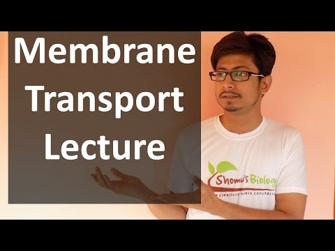 Membrane transport lecture