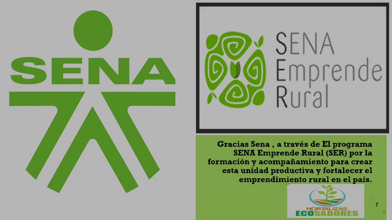 Presentación Ecosabores , Bajo La Ciénaga