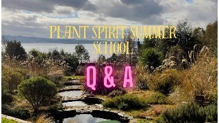 @FayJohnstone- Plant Spirit Summer School 2024 - what you need to know