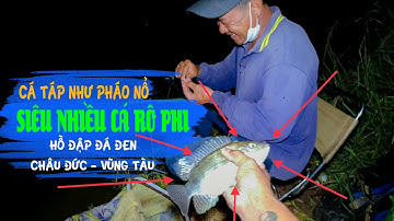 CÁ TÁP NHƯ PHÁO NỔ, CÁ RÔ PHI ĂN VỀ ĐÊM, ẨM THỰC HỒ ĐÁ ĐEN | NATURAL FISHING