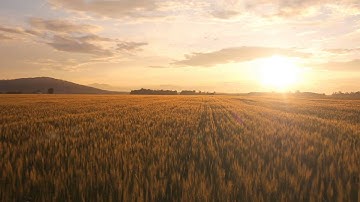 90 seconds to discover a new "Hope in healthy soil"