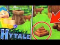 ANCHE la CACCA E' BELLA in HYTALE - Hytale ITA News