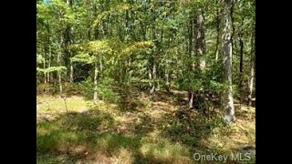 Homes for sale - Moores Hill Road, New Windsor, NY 12553