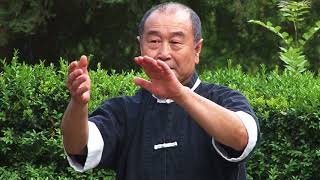 Wushu Teacher Mu Yuchun Dacheng Quan Yiquan