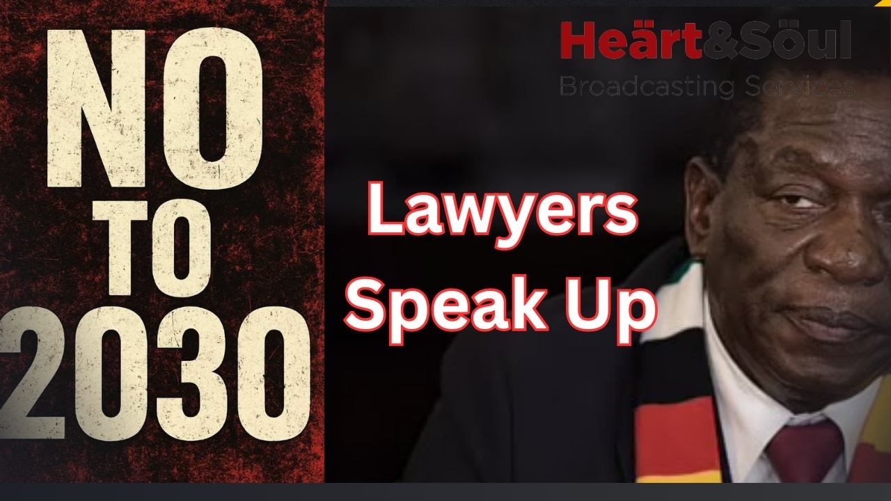 ED stealing Zim with Constitutional amendment with Dhara B #hstvzim