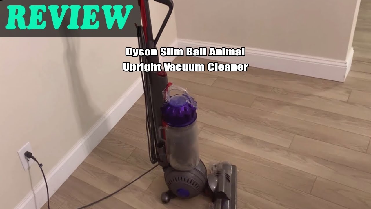 Dyson Slim Ball Animal Upright Vacuum Cleaner Review 2024 What Do I