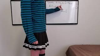 Femboy Physics Feetnote 1 Vector Basics