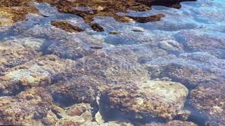 Transparent Water Of The Sea | Stock Footage - Envato elements
