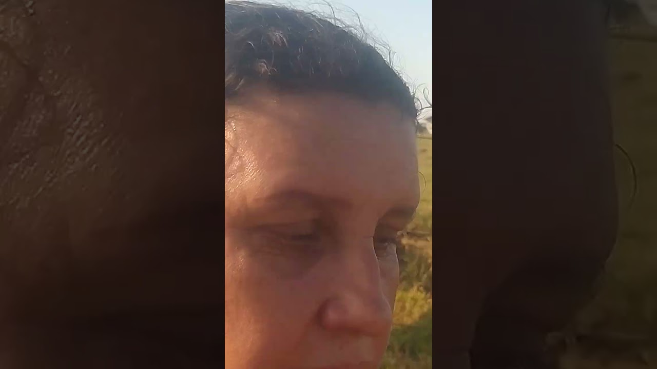 Boa noite tudo bem com vocês indo buscar as crianças 